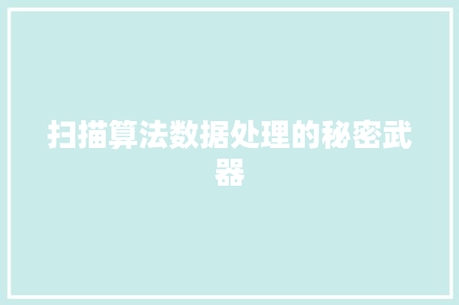 扫描算法数据处理的秘密武器
