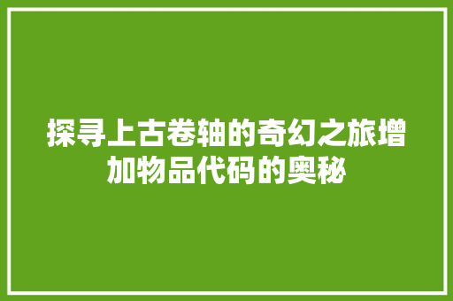 探寻上古卷轴的奇幻之旅增加物品代码的奥秘  第1张
