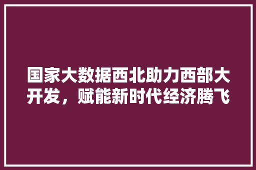 国家大数据西北助力西部大开发，赋能新时代经济腾飞  第1张