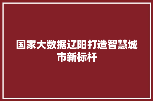 国家大数据辽阳打造智慧城市新标杆  第1张