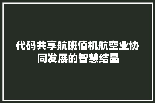 代码共享航班值机航空业协同发展的智慧结晶