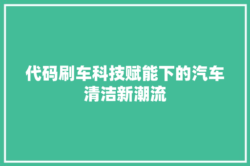 代码刷车科技赋能下的汽车清洁新潮流