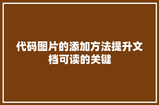 代码图片的添加方法提升文档可读的关键