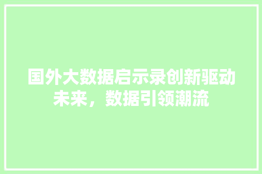 国外大数据启示录创新驱动未来，数据引领潮流  第1张