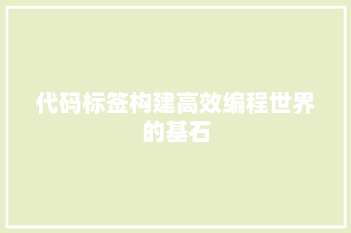 代码标签构建高效编程世界的基石