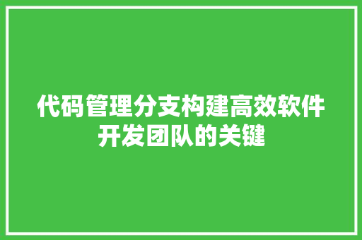 代码管理分支构建高效软件开发团队的关键