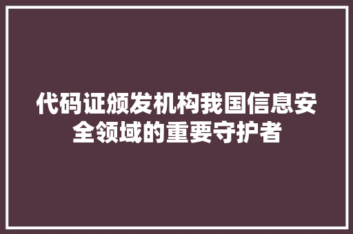 代码证颁发机构我国信息安全领域的重要守护者