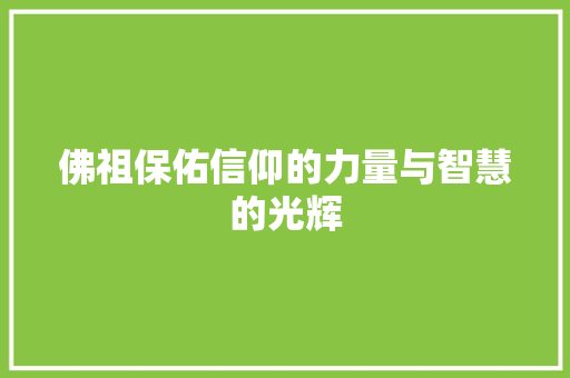 佛祖保佑信仰的力量与智慧的光辉  第1张