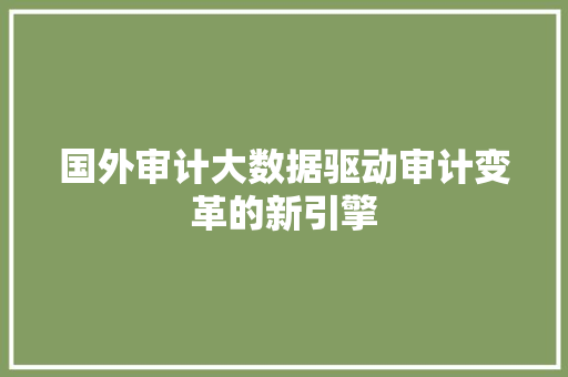 国外审计大数据驱动审计变革的新引擎