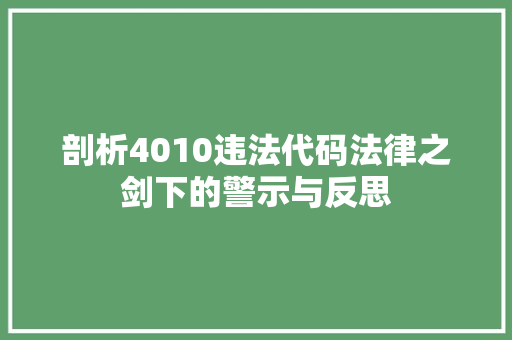 剖析4010违法代码法律之剑下的警示与反思