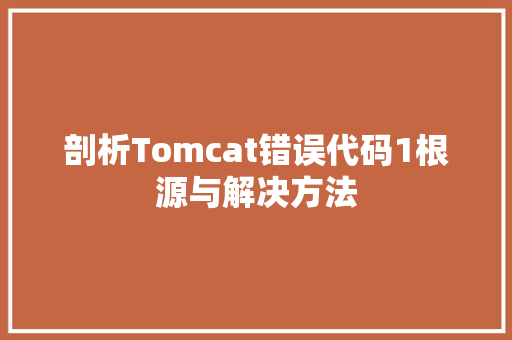 剖析Tomcat错误代码1根源与解决方法