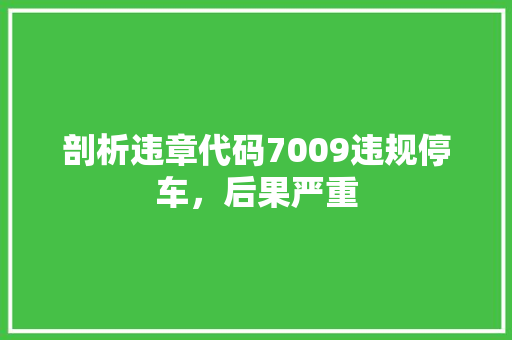 剖析违章代码7009违规停车，后果严重