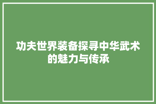 功夫世界装备探寻中华武术的魅力与传承