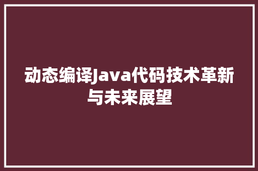 动态编译Java代码技术革新与未来展望  第1张