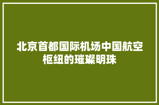 北京首都国际机场中国航空枢纽的璀璨明珠