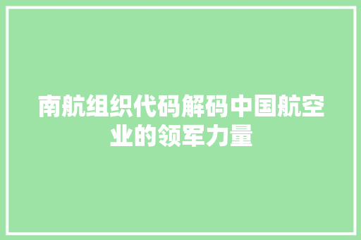 南航组织代码解码中国航空业的领军力量  第1张