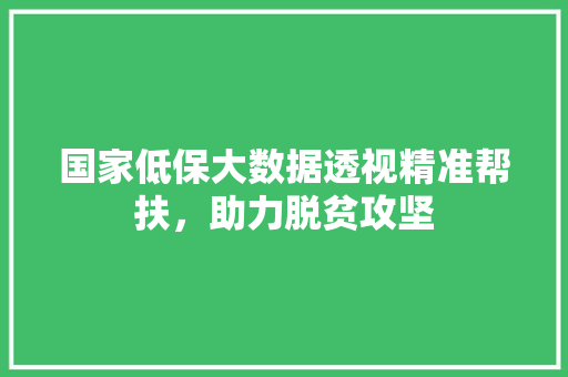 国家低保大数据透视精准帮扶，助力脱贫攻坚  第1张
