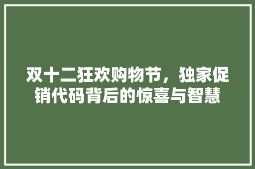 双十二狂欢购物节，独家促销代码背后的惊喜与智慧