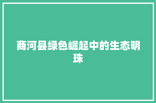 商河县绿色崛起中的生态明珠