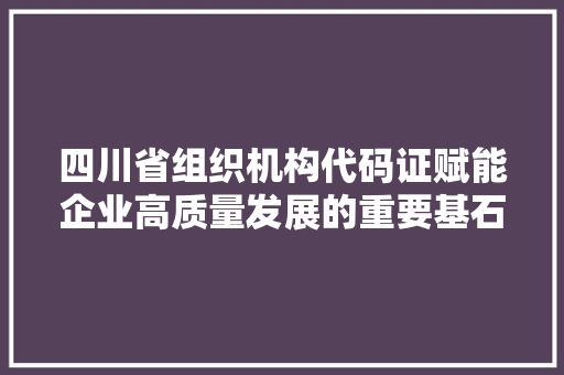 四川省组织机构代码证赋能企业高质量发展的重要基石