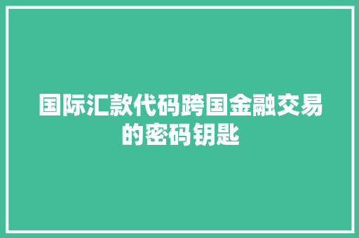国际汇款代码跨国金融交易的密码钥匙