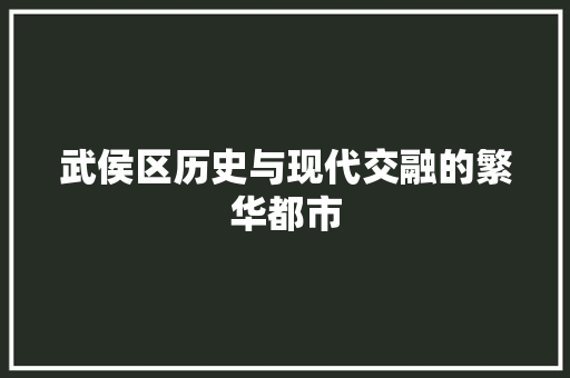 武侯区历史与现代交融的繁华都市