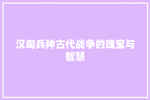 汉匈兵种古代战争的瑰宝与智慧