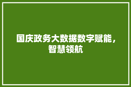 国庆政务大数据数字赋能，智慧领航  第1张