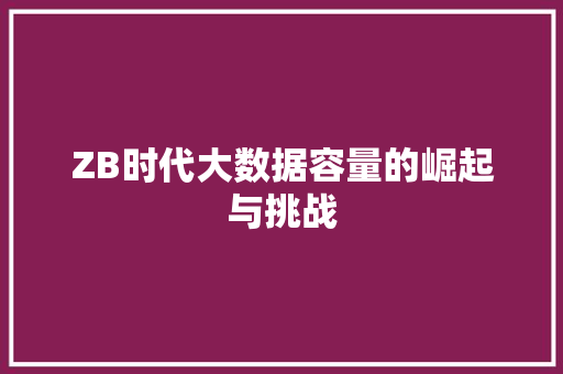 ZB时代大数据容量的崛起与挑战