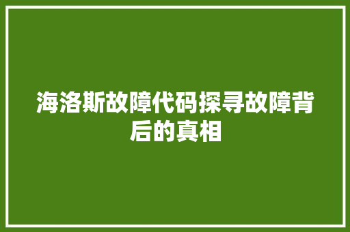 海洛斯故障代码探寻故障背后的真相