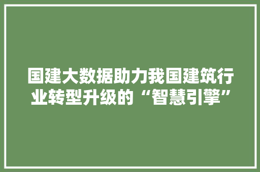 国建大数据助力我国建筑行业转型升级的“智慧引擎”