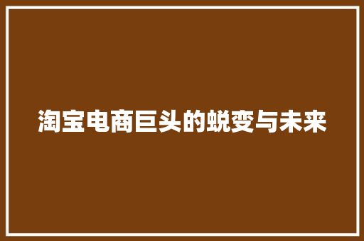 淘宝电商巨头的蜕变与未来