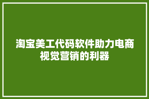 淘宝美工代码软件助力电商视觉营销的利器