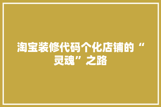淘宝装修代码个化店铺的“灵魂”之路