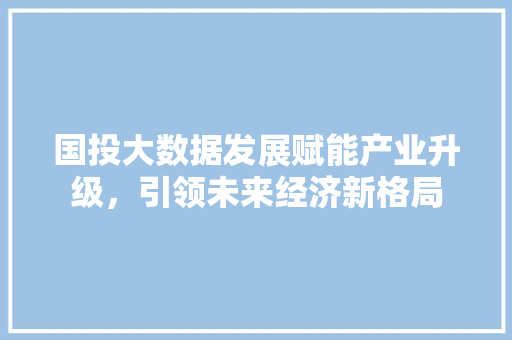 国投大数据发展赋能产业升级，引领未来经济新格局