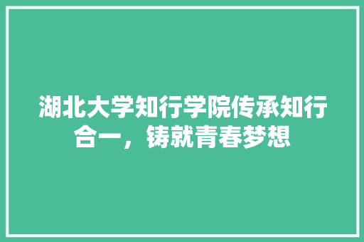 湖北大学知行学院传承知行合一，铸就青春梦想