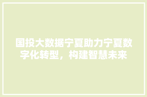 国投大数据宁夏助力宁夏数字化转型，构建智慧未来  第1张