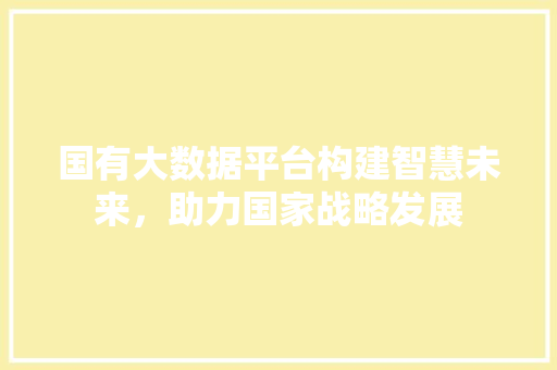 国有大数据平台构建智慧未来，助力国家战略发展