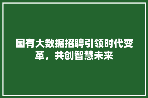 国有大数据招聘引领时代变革，共创智慧未来