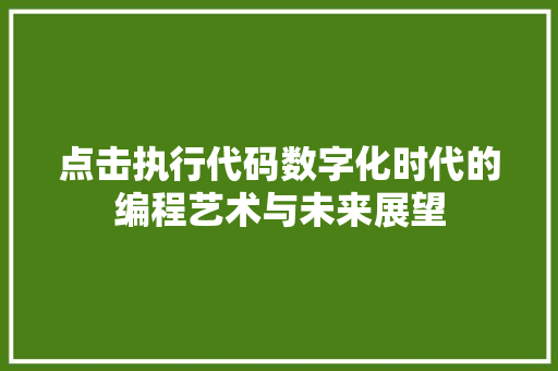 点击执行代码数字化时代的编程艺术与未来展望