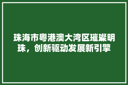 珠海市粤港澳大湾区璀璨明珠，创新驱动发展新引擎