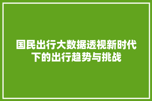 国民出行大数据透视新时代下的出行趋势与挑战  第1张