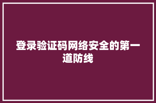 登录验证码网络安全的第一道防线