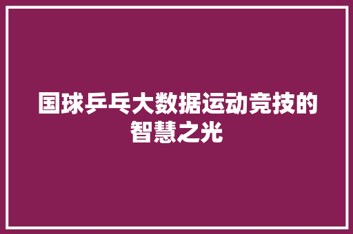 国球乒乓大数据运动竞技的智慧之光