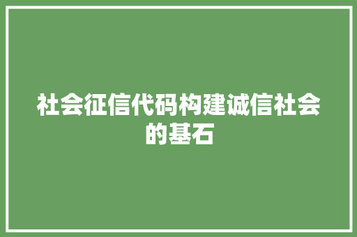 社会征信代码构建诚信社会的基石  第1张