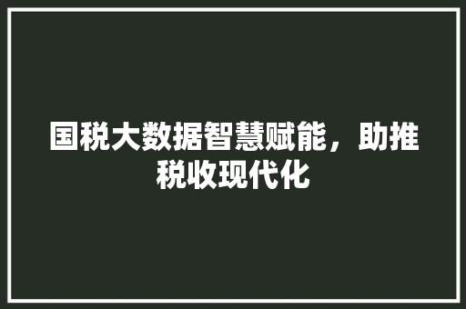 国税大数据智慧赋能，助推税收现代化  第1张