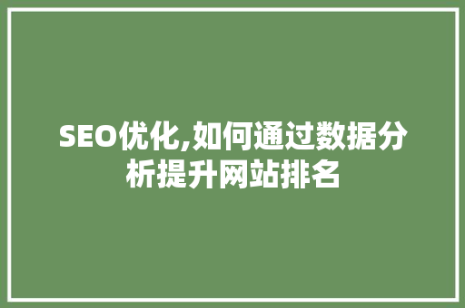 SEO优化,如何通过数据分析提升网站排名  第1张