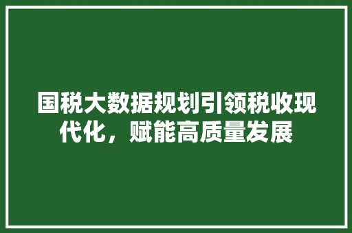 国税大数据规划引领税收现代化，赋能高质量发展