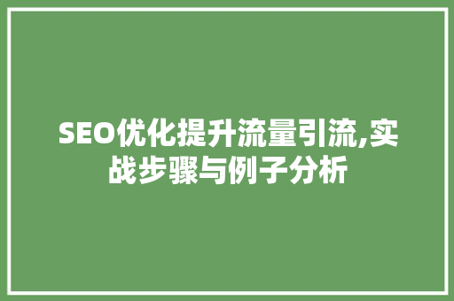SEO优化提升流量引流,实战步骤与例子分析  第1张
