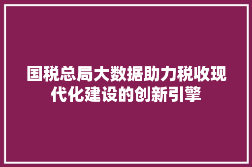 国税总局大数据助力税收现代化建设的创新引擎  第1张